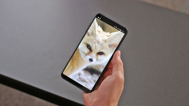 Das LG V30 überzeugt.