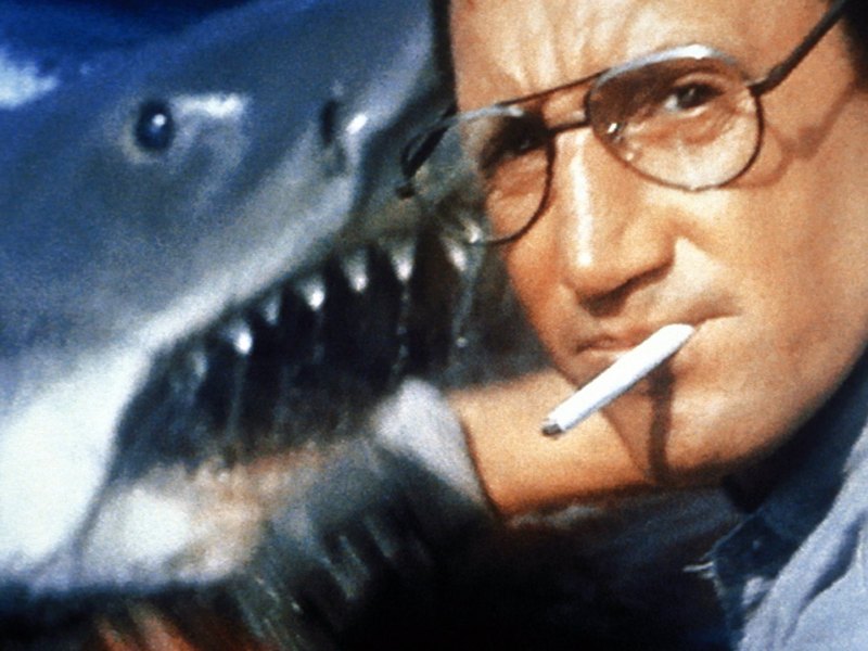 Der weiße Hai Roy Scheider