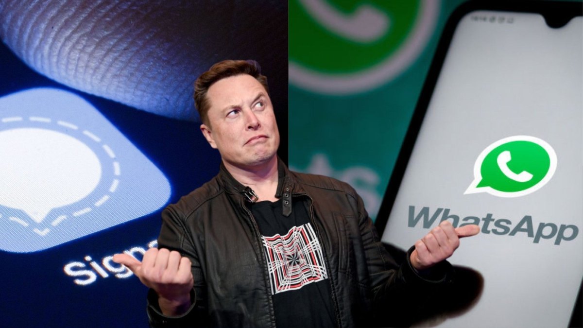 Elon Musk zwischen Signal und WhatsApp