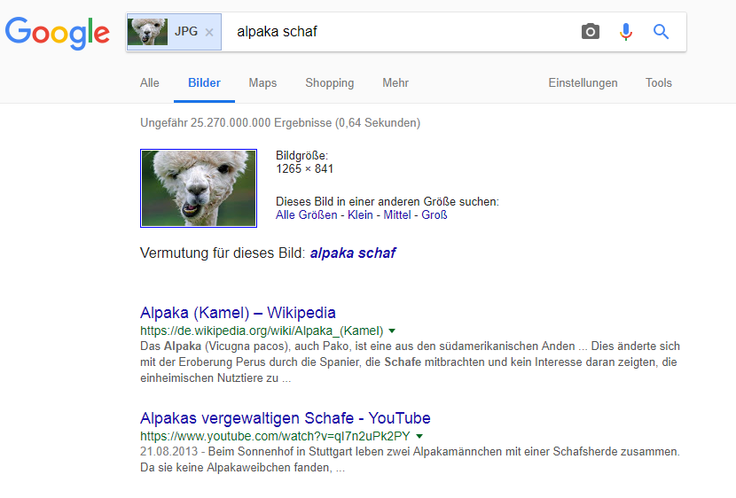 Die Ergebnisseite der Google-Bildersuche enthält einige nützliche Informationen.