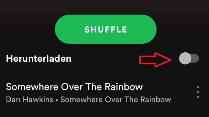 Lad in Spotify eine Playlist herunter