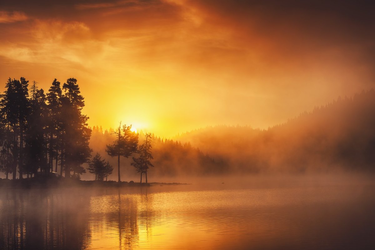 Ein Sonnenuntergang über einem Wald.