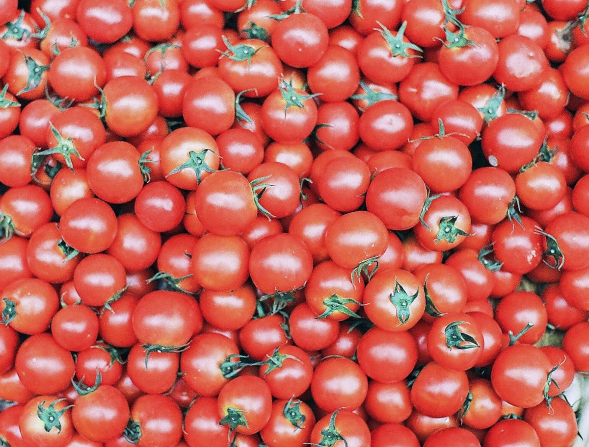 Tomaten