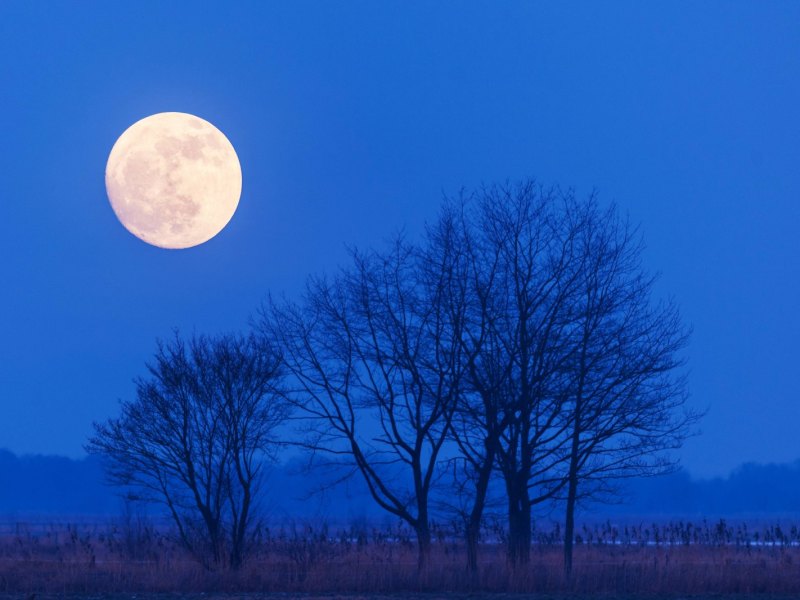 Mond in Nachtlandschaft