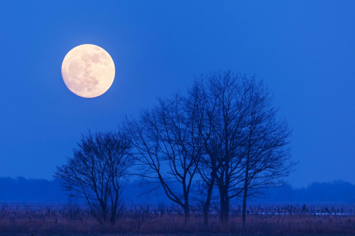 Mond in Nachtlandschaft