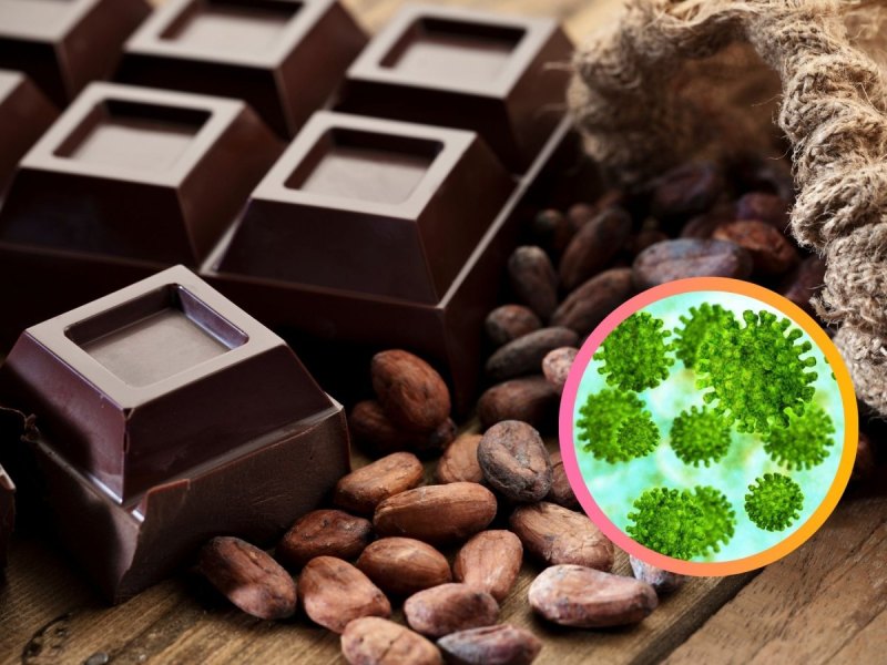 Coronavirus und dunkle Schokolade