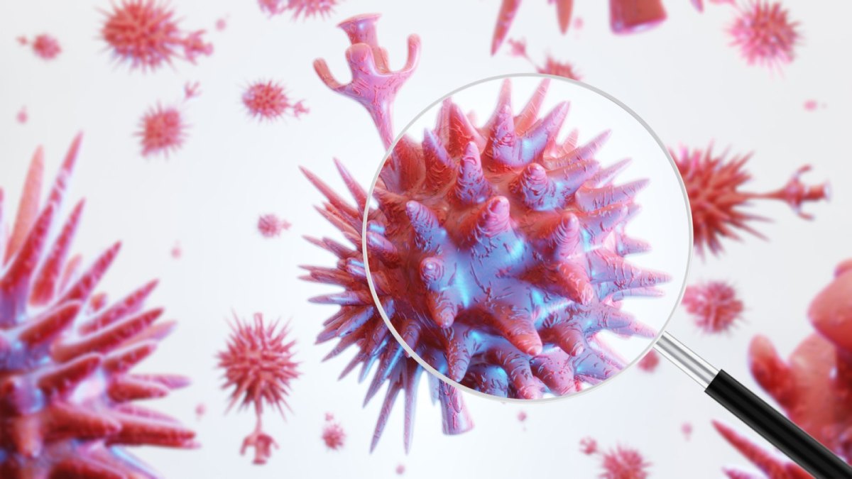 3D-Bild vom Coronavirus