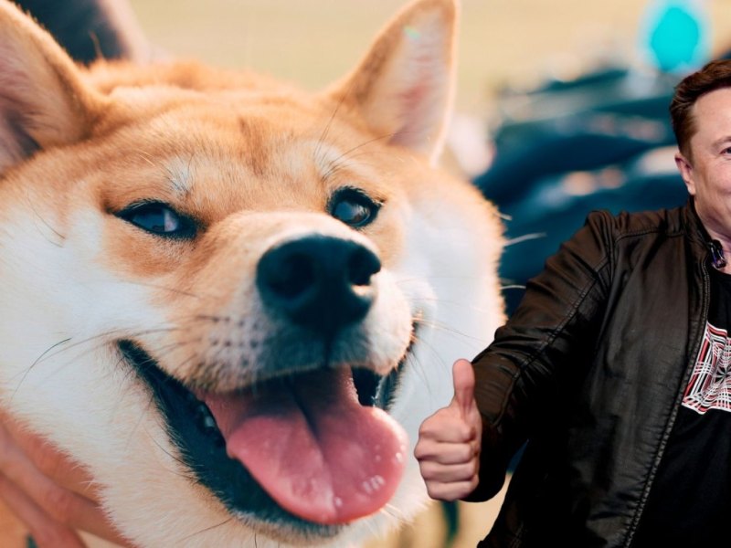 Elon Musk vor einem Shiba Inu