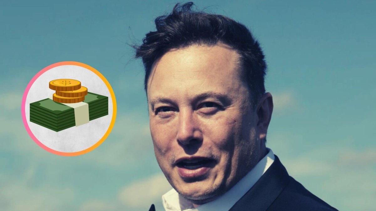 Elon Musk und ein Haufen Geld