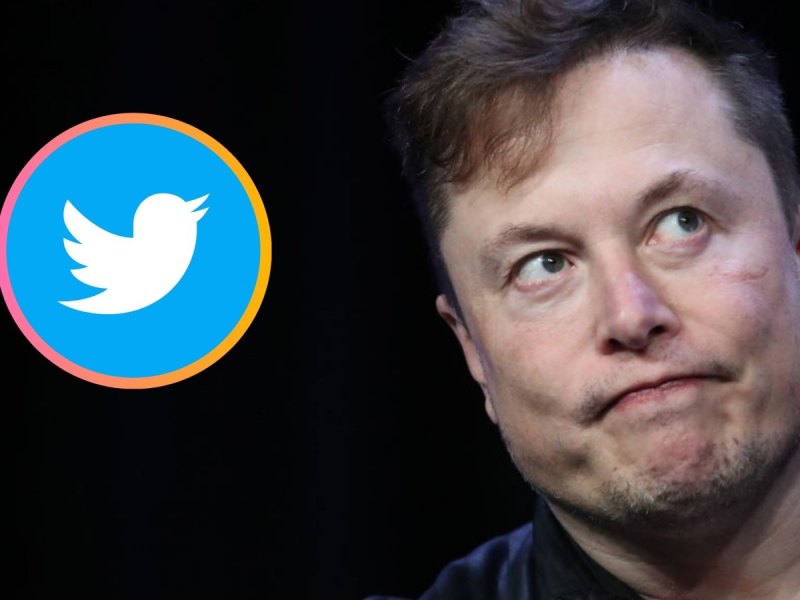 Elon Musk und das Twitter-Logo