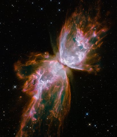 Der Kosmische Schmetterling