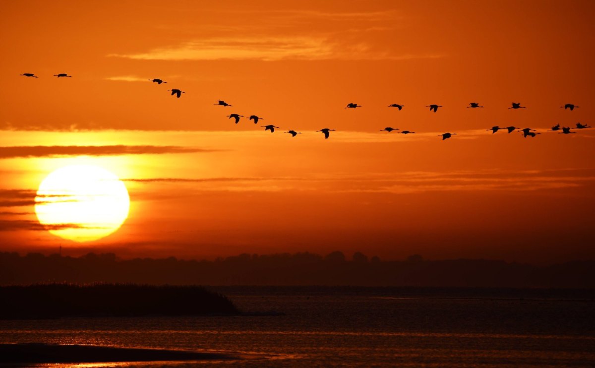 Ein Sonnenaufgang