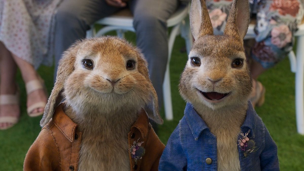 Filmszene aus Peter Rabbit 2.