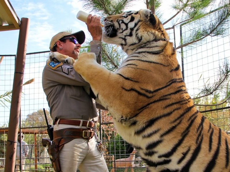 Auch in "Tiger King 2" geht es eher um Menschen als um Großkatzen.... © ©2020 NETFLIX