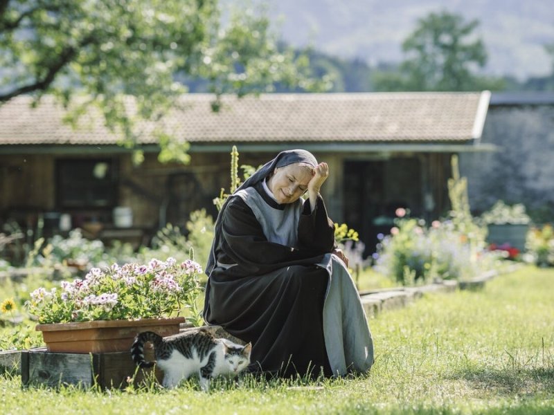 "Tatort: Wunder gibt es immer wieder": Die Nonnen - hier Schwester Barbara (Corinna Harfouch) - haben auch den Gefleckten Schierling im Klostergarten angepflanzt.. © BR/Roxy Film GmbH/Hendrik Heiden