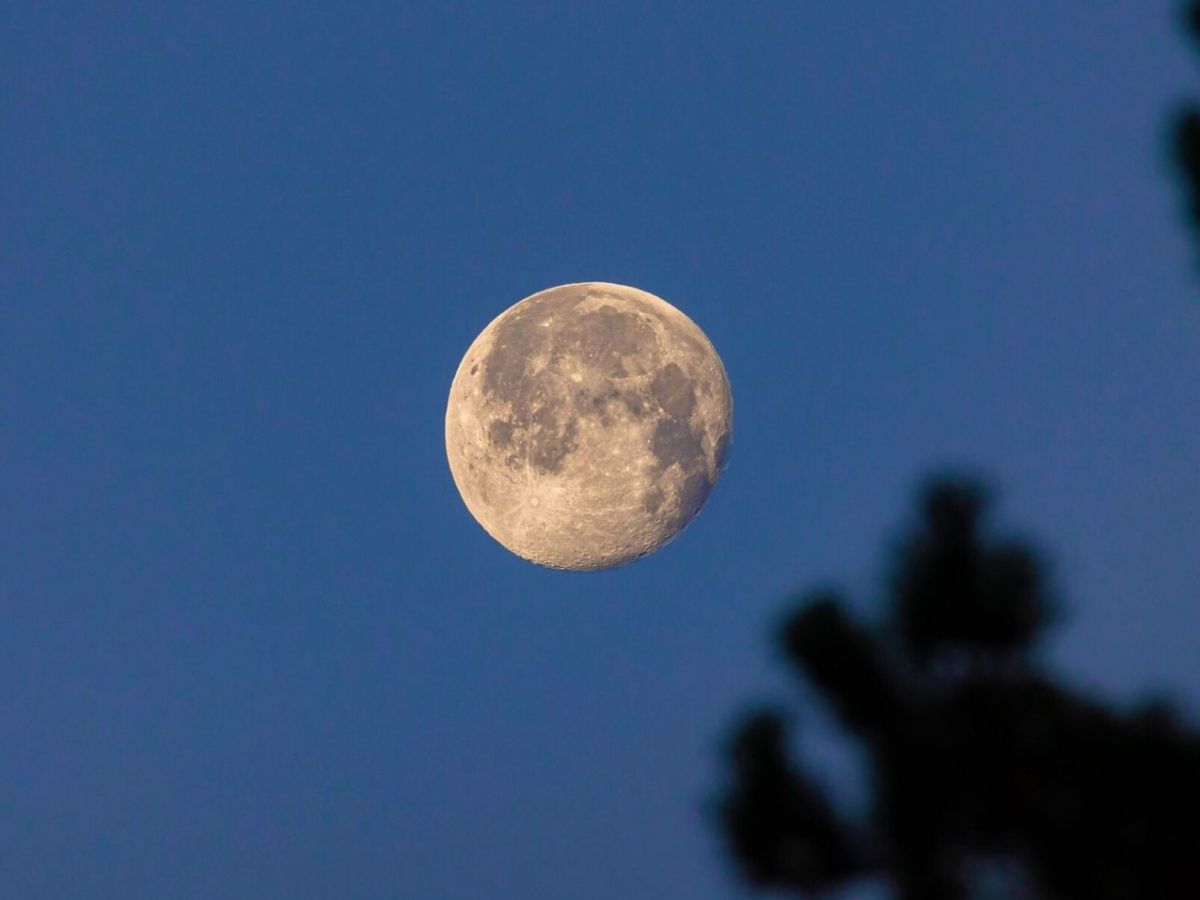 Der Mond.