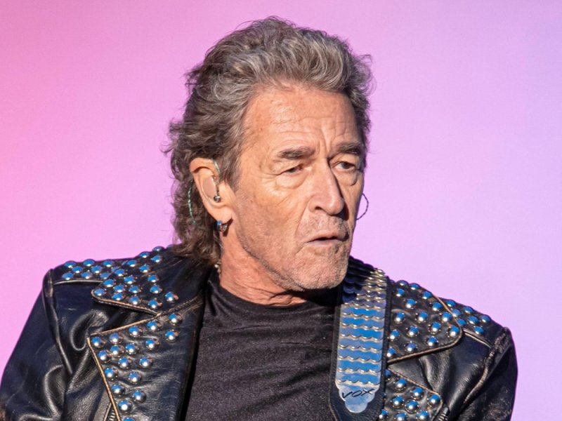 Peter Maffay ist einer der Künstler