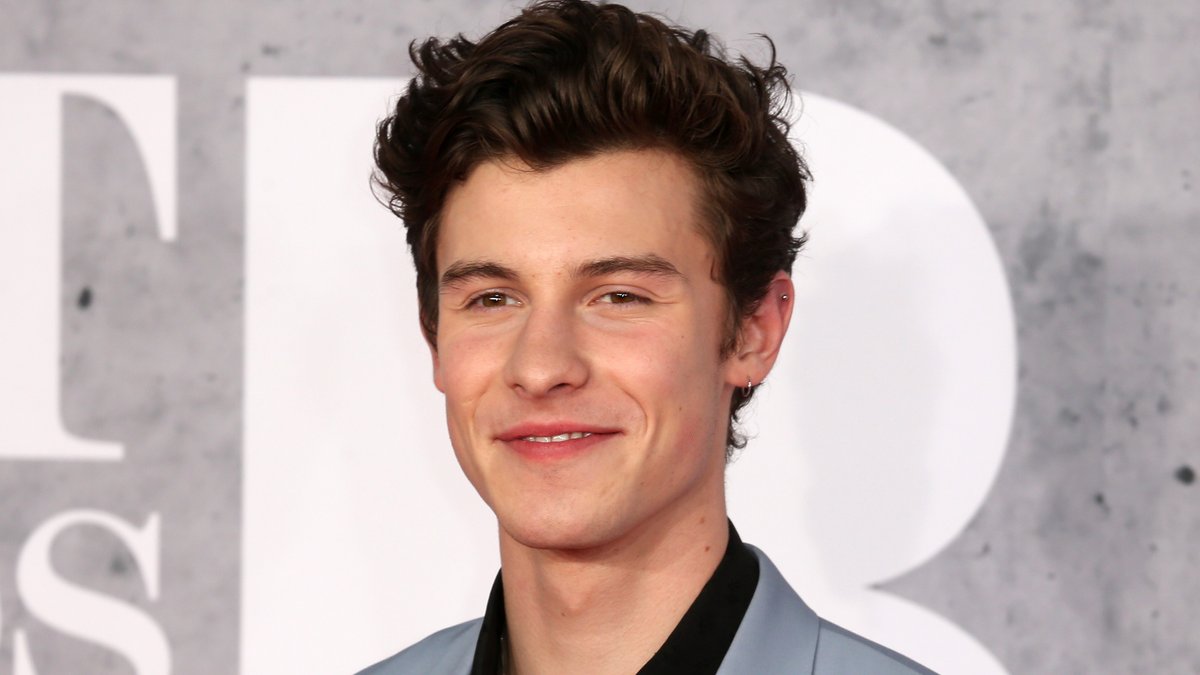 Shawn Mendes wird bei den diesjährigen Oscars auf der Bühne stehen.. © Cubankite/Shutterstock.com