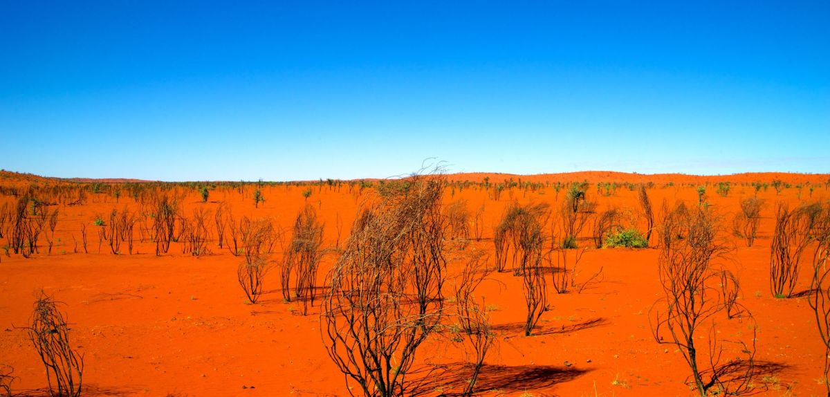 Wüste in Australien.