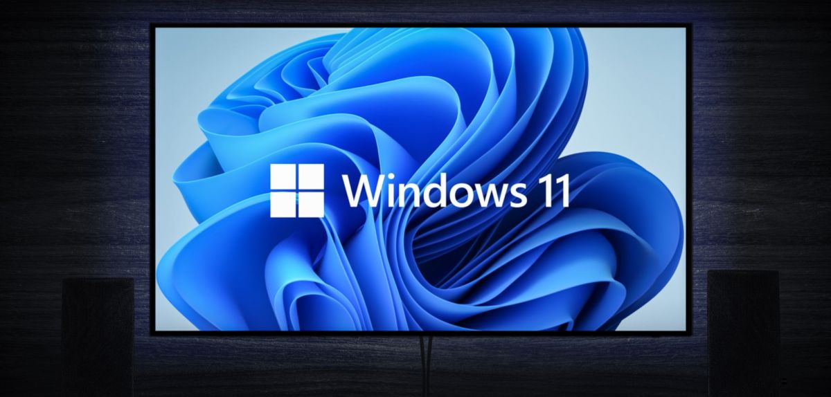 Windows 11 Logo