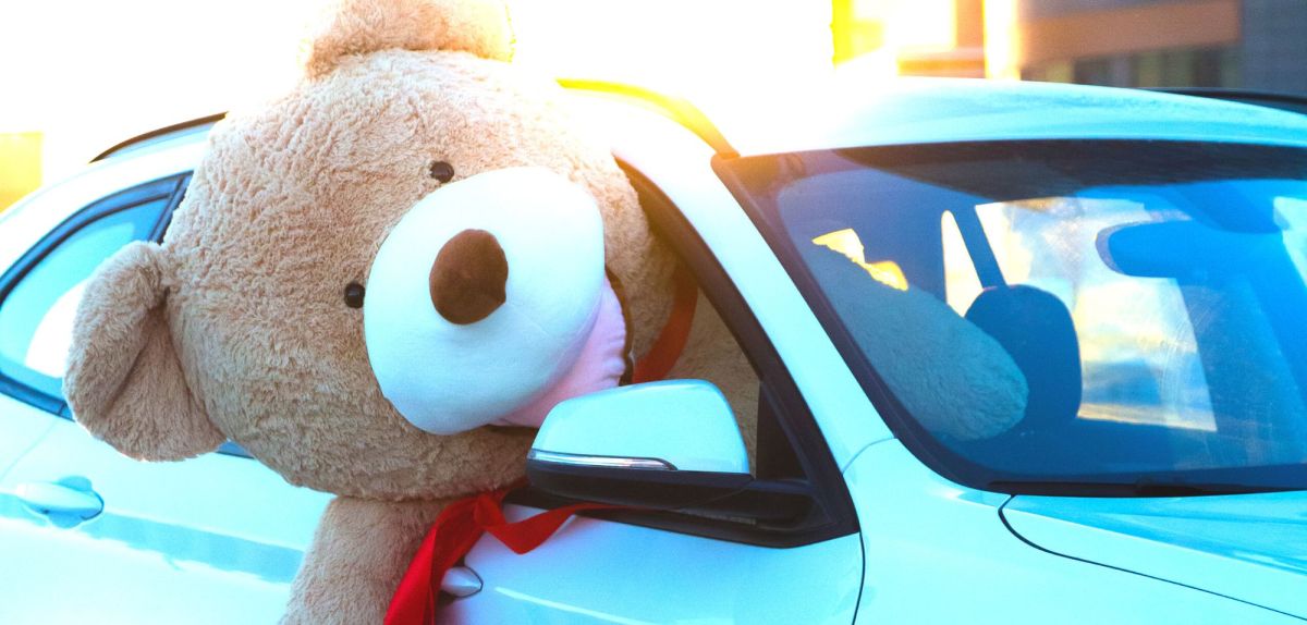 Riesiger TeddybÃ¤r sitzt in einem Auto und hÃ¤ngt halb aus dem Fenster.