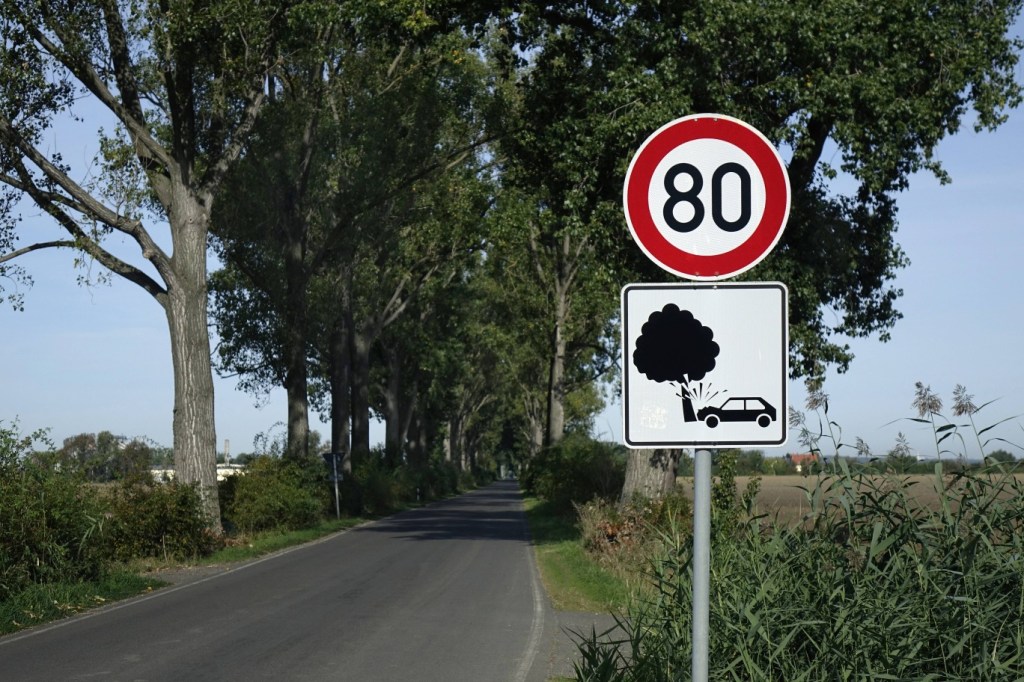 Zusatzzeichen Baumunfall am Verkehrsschild Tempo 80