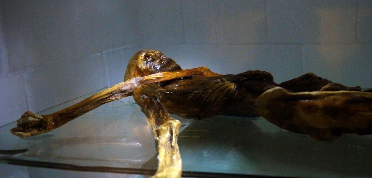 Ötzi im Südtiroler Archäologiemuseum