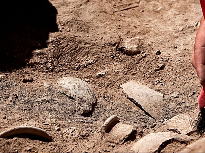 Foto von einer archäologischen Ausgrabung.