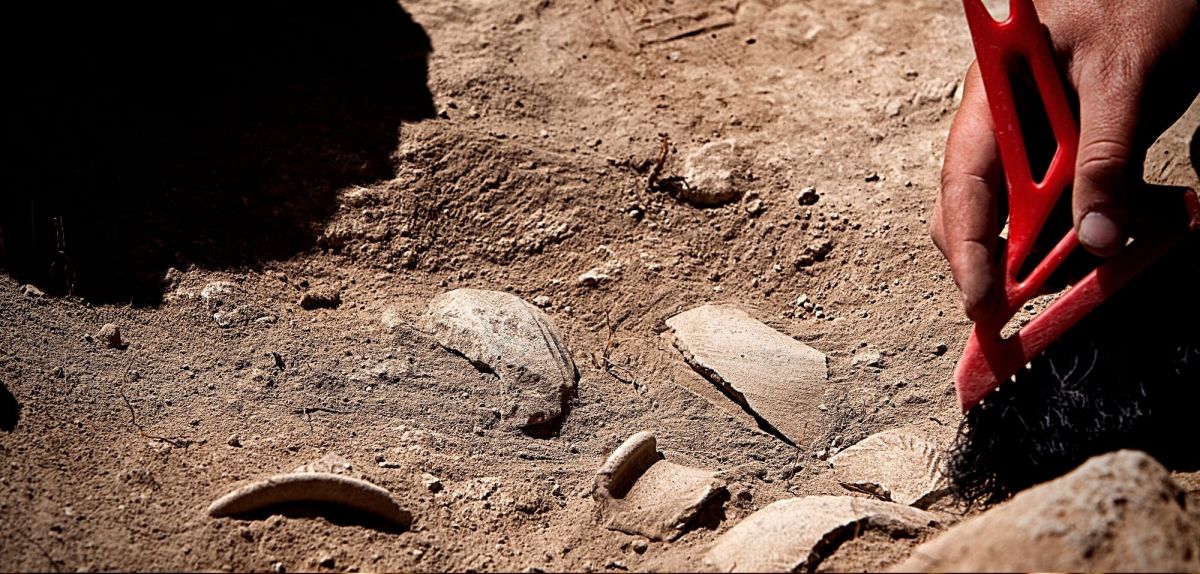 Foto von einer archäologischen Ausgrabung.