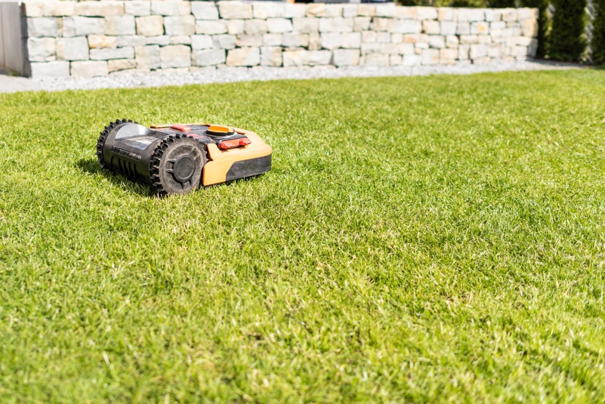 MÃ¤hroboter im Garten