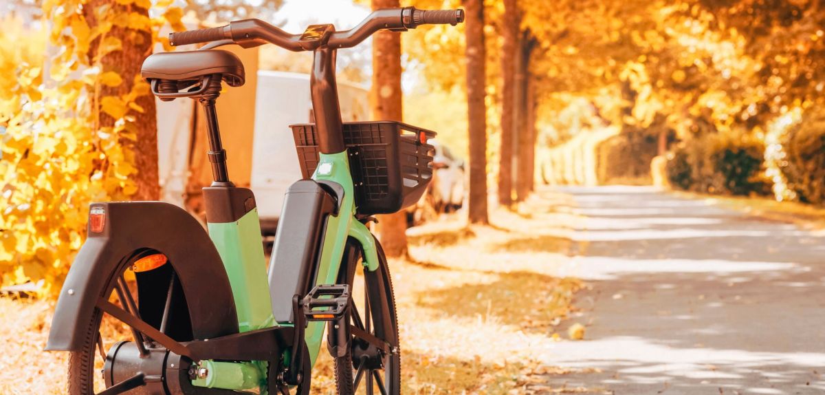 Ein E-Bike auf einer herbstlichen Allee.