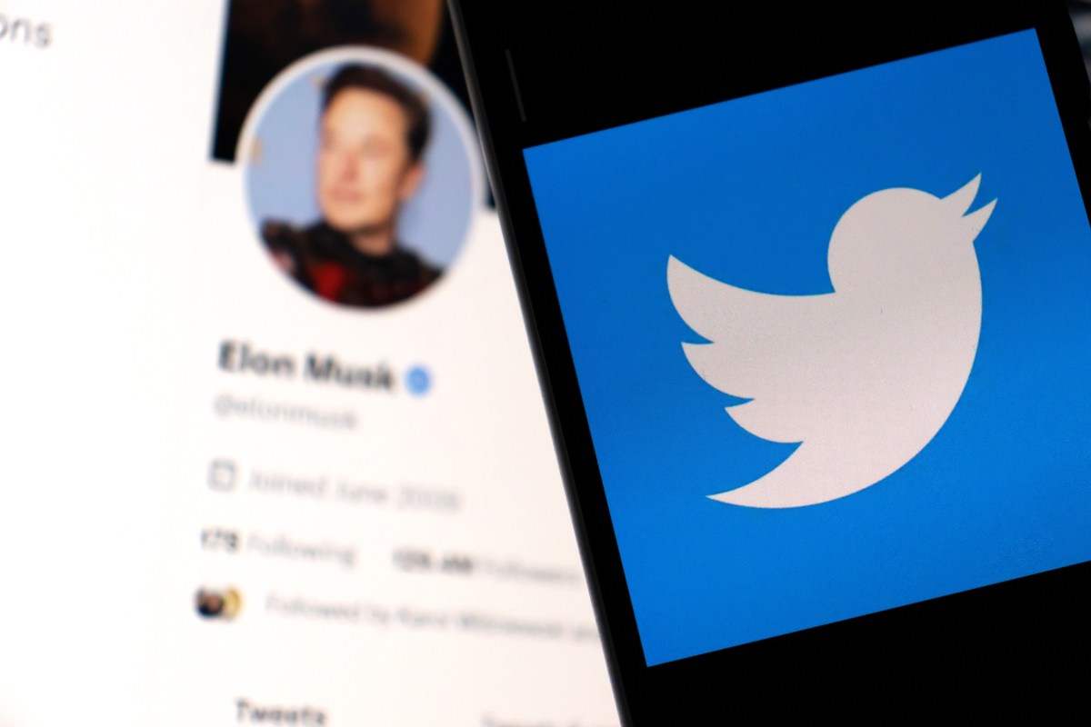 Das Twitter-Profil von Milliardär Elon Musk