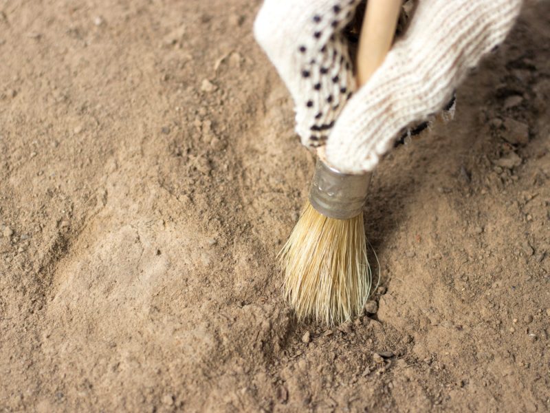 Person legt ein archäologisches Artefakt mit einem Pinsel frei.