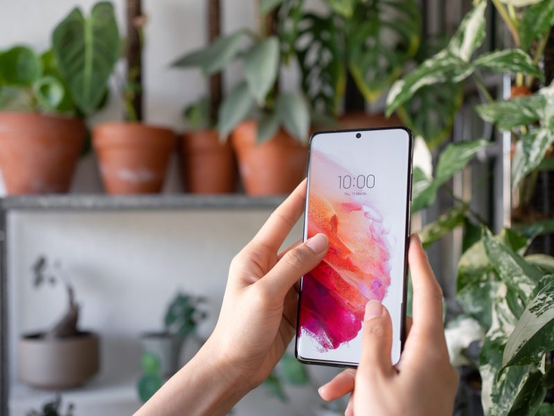 Hände halten ein Samsung Galaxy Handy vor Hintergrund mehrerer Pflanzen hoch.