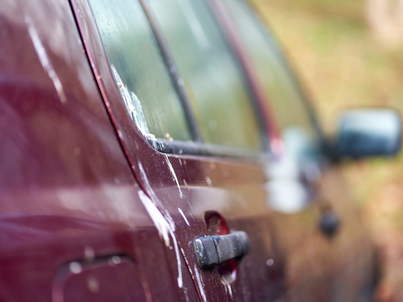 Auto mit Vogelkot auf dem Lack