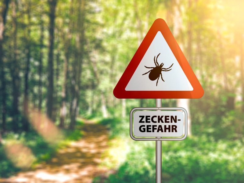 Warnschild vor Gefahr durch Zecken vor einem Waldweg.