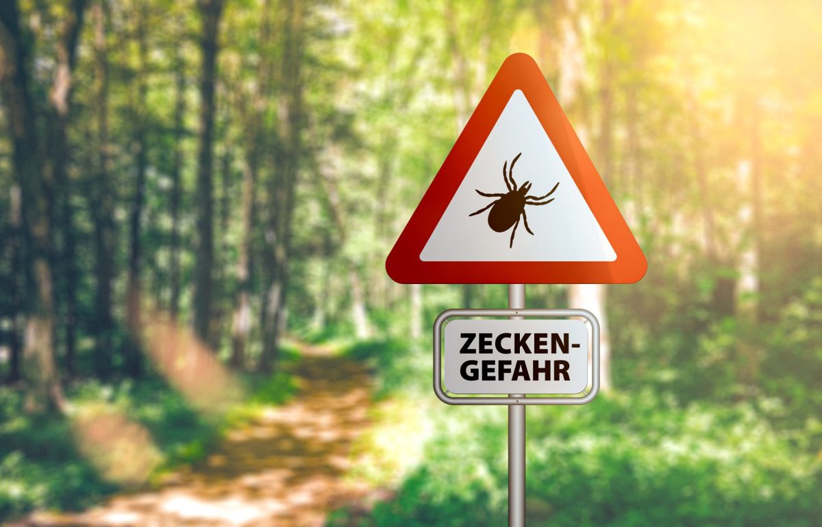 Warnschild vor Gefahr durch Zecken vor einem Waldweg.