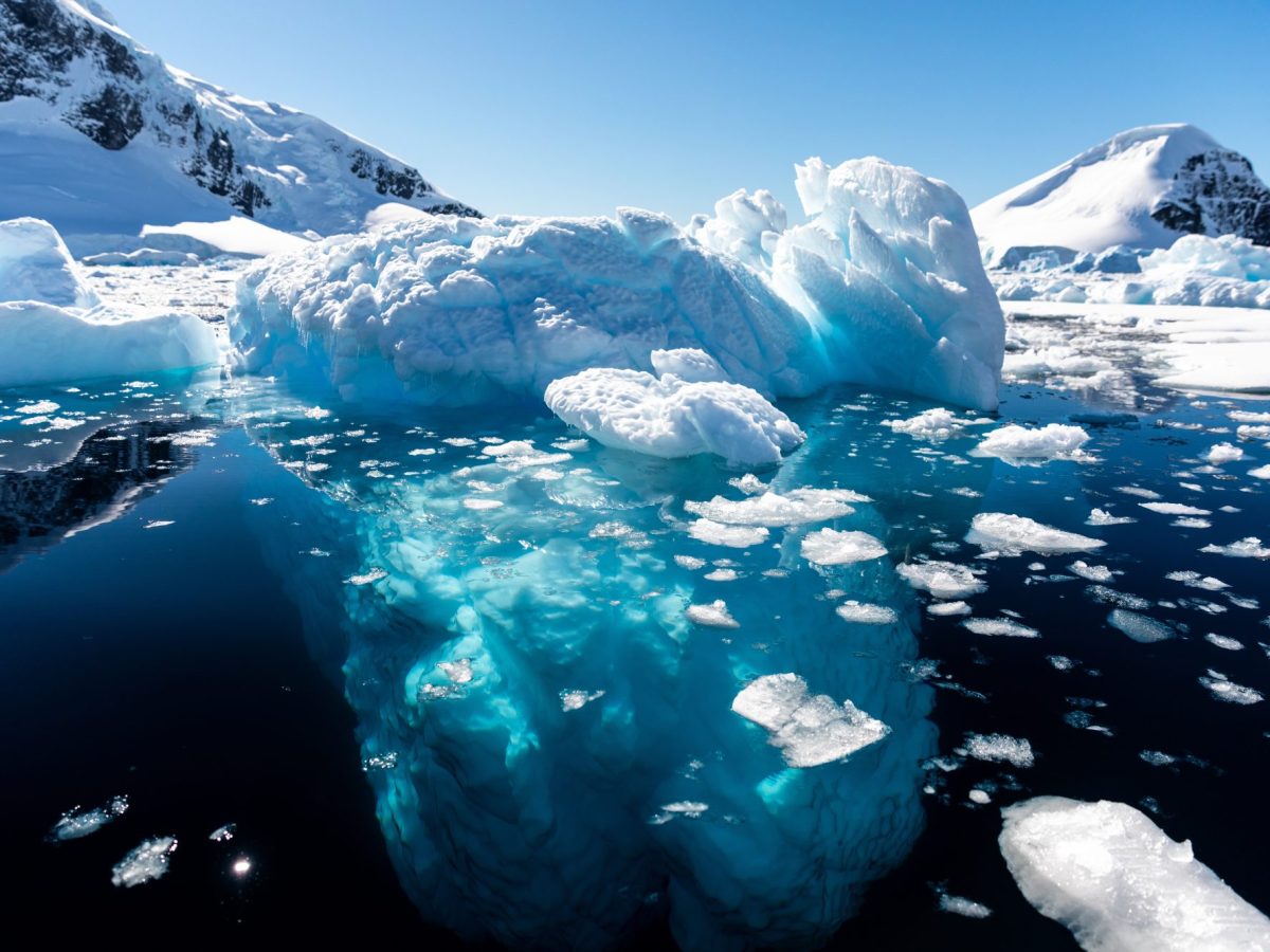 Nahaufnahme auf schwimmendes Eis in der Antarktis.