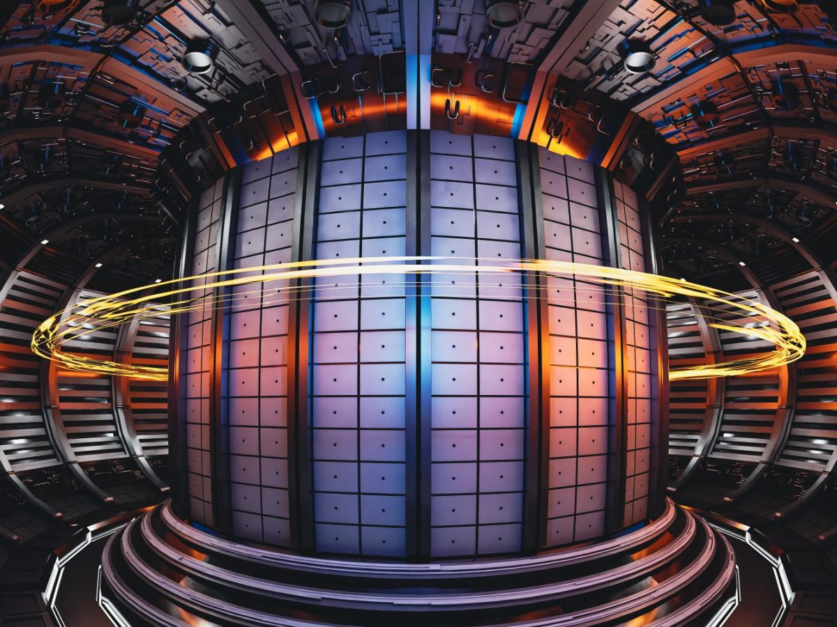 Illustration des Inneren eines Tokamak