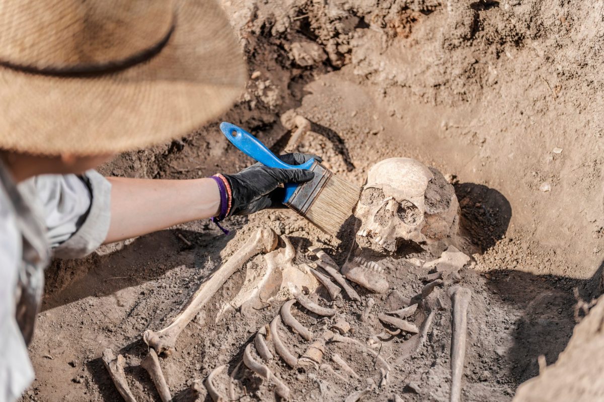 Eine Person entfernt Staub von einem TotenschÃ¤del wÃ¤hrend einer archÃ¤ologischen Ausgrabung.