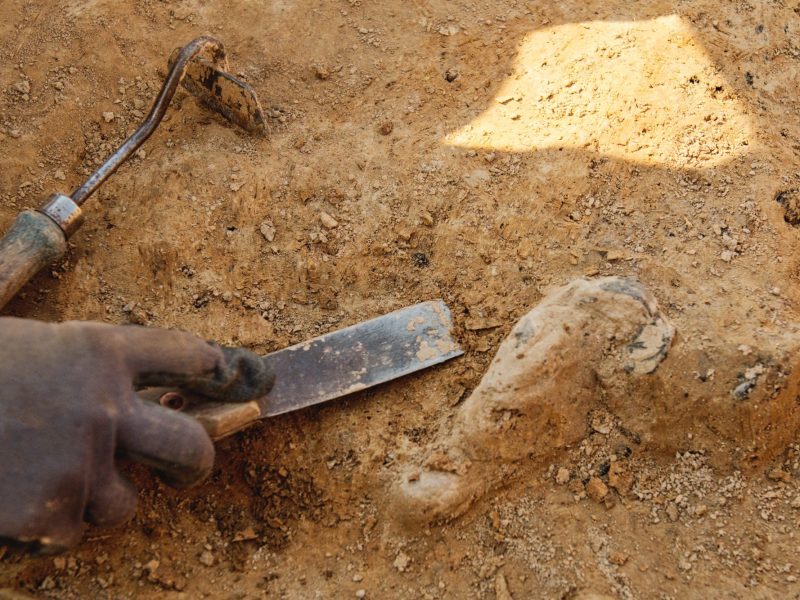 Eine Hand mit Werkzeug gräbt an einem archäologischen Fund.