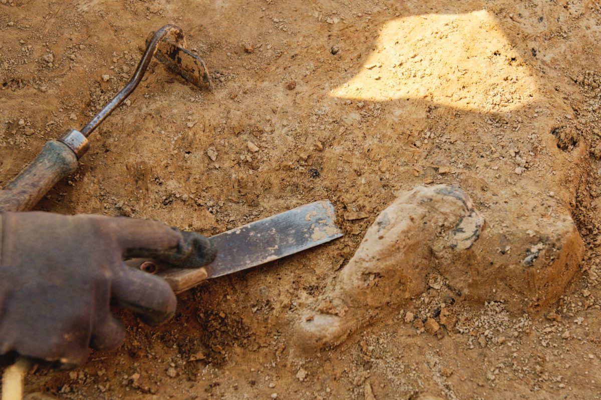 Eine Hand mit Werkzeug gräbt an einem archäologischen Fund.
