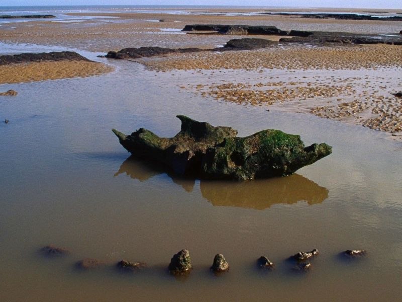 "Seahenge" genannter archäologischer Fund