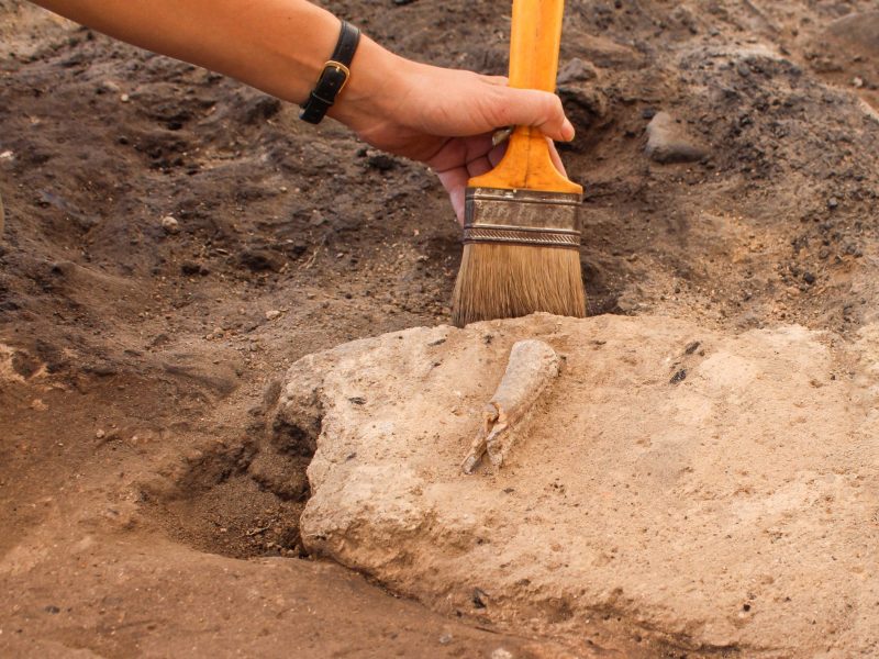 Mann arbeitet mit Pinsel an einem archäologischen Fund.