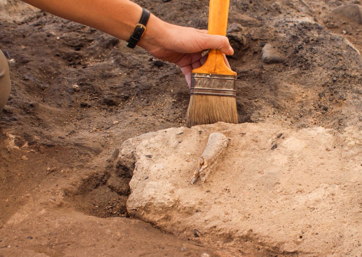 Mann arbeitet mit Pinsel an einem archäologischen Fund.