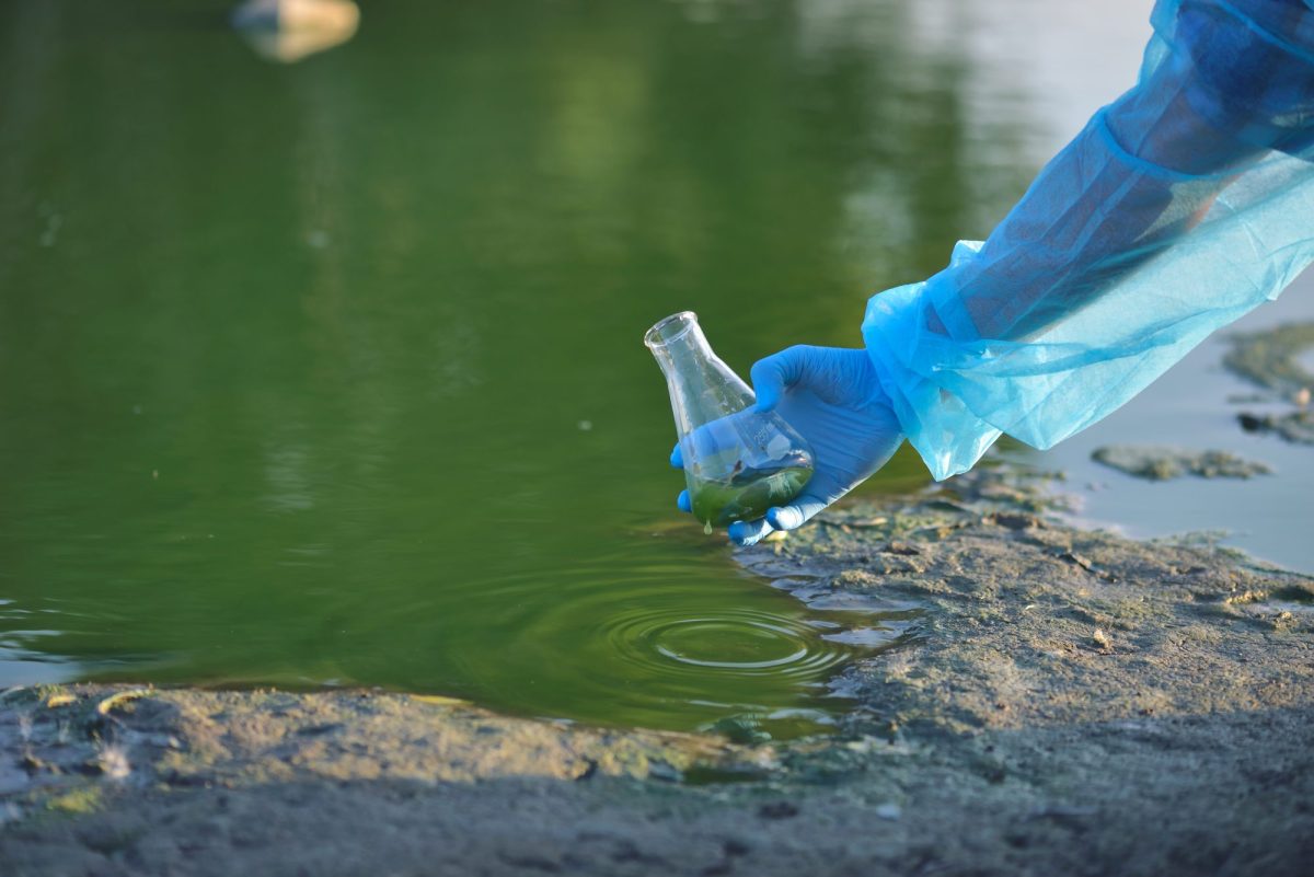 Eine Person mit einem blauen Handschuh entnimmt eine Probe aus grÃ¼nem Wasser.