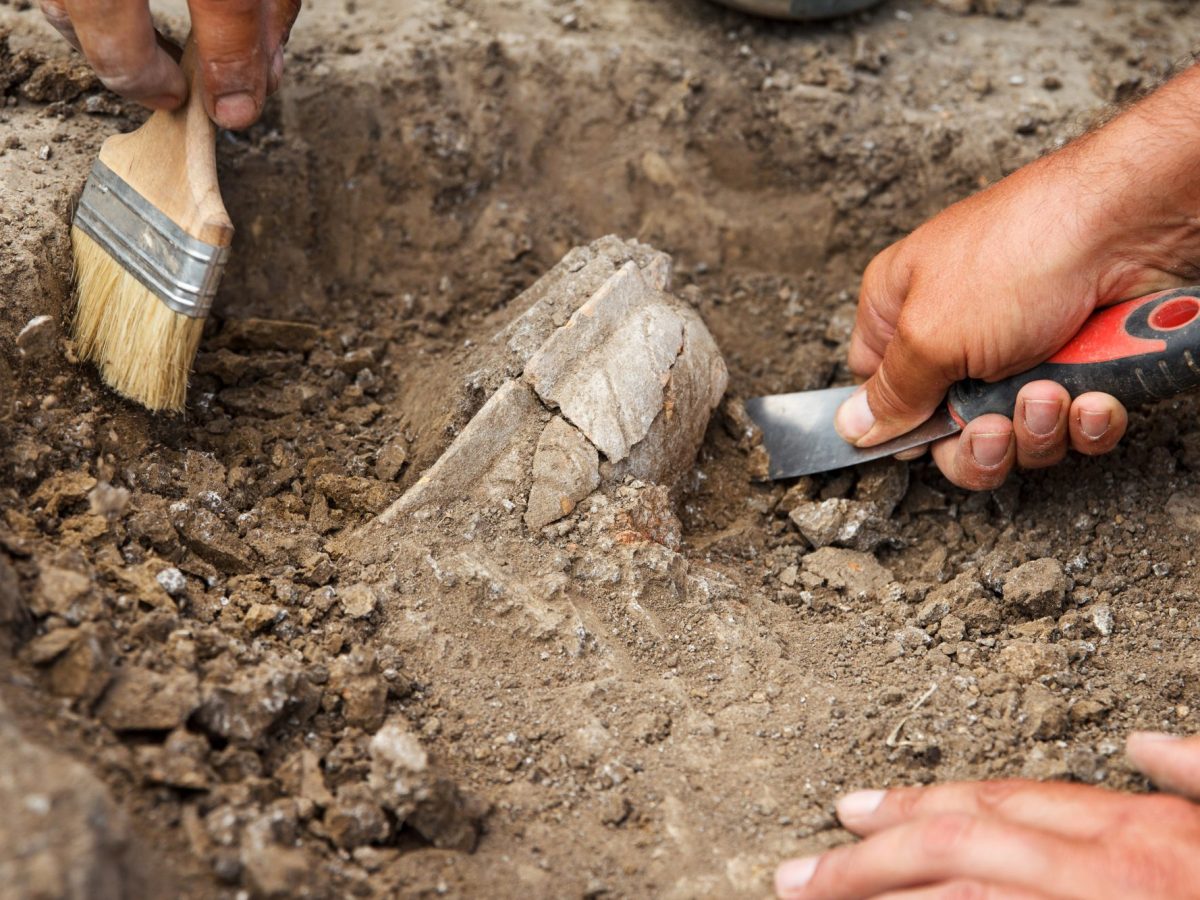 Menschen arbeiten mit Werkzeugen an einem archäologischen Fund.