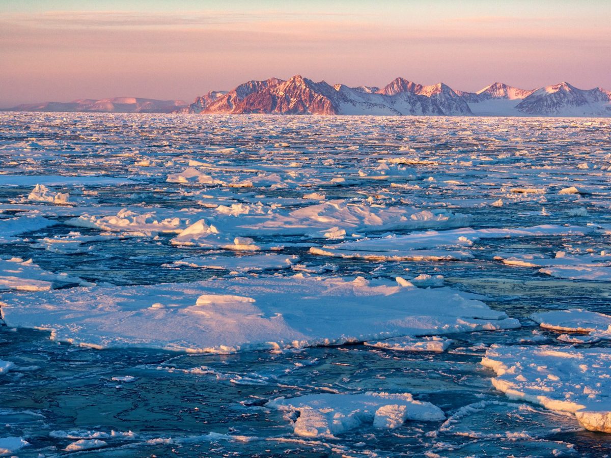 Eisschollen treiben auf dem Meer.