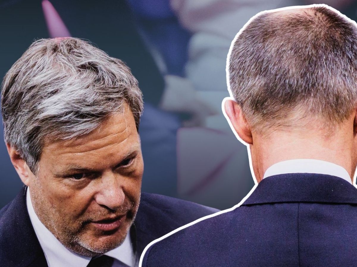 LR Robert Habeck, Friedrich Merz