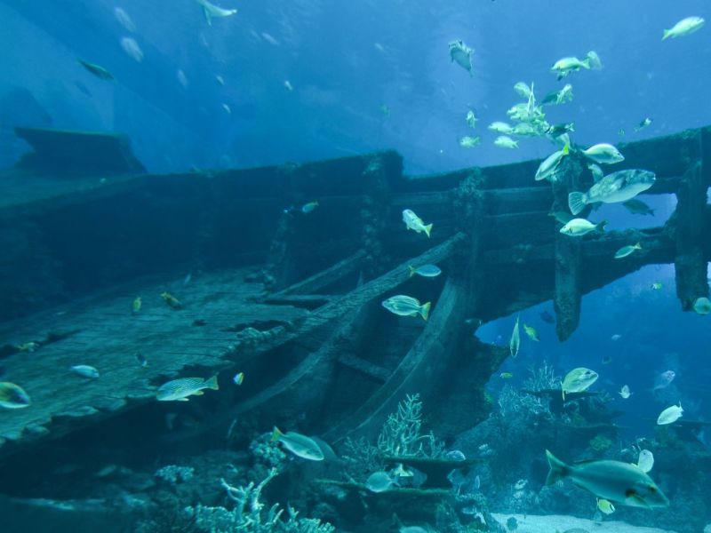 Schiff unter Wasser als archäologischer Fund.